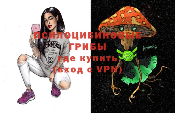спиды Горно-Алтайск