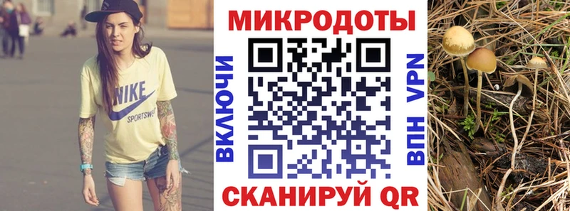 где можно купить наркотик  Онега  Псилоцибиновые грибы MAGIC MUSHROOMS 